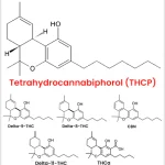 THCP vs THC: Deciphering the Differences