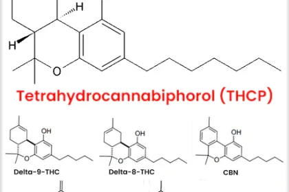 THCP vs THC: Deciphering the Differences