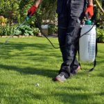 Safe and Eco-Friendly Pest Control Options in Archdale